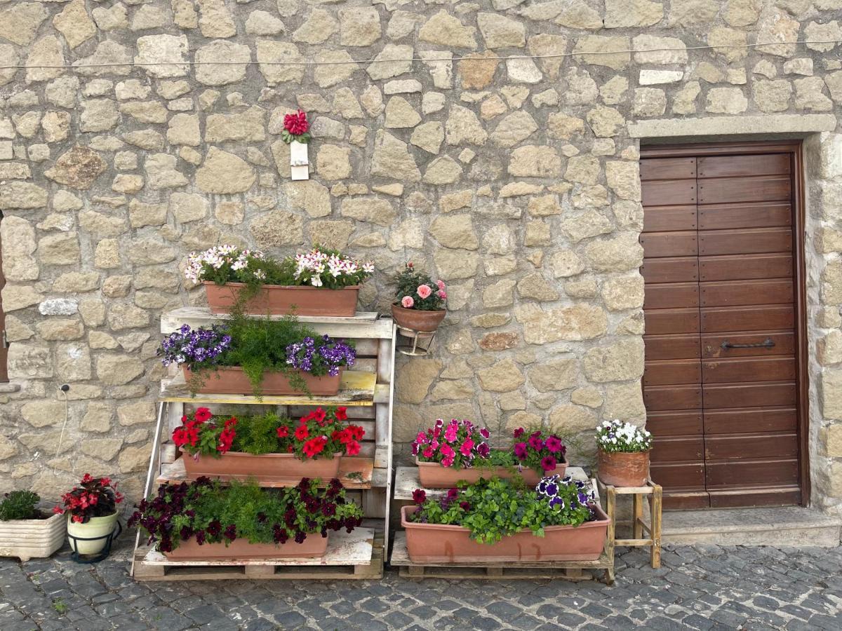 Luminoso Appartamento Sul Lago - Lake Court Anguillara Sabazia Exterior photo